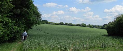 Chilterns Aonb Boundary Review Gets Underway Cpre Hertfordshire