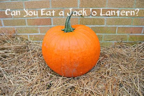 Can You Eat Your Jack ‘o Lantern Pumpkin Eat Like No One Else