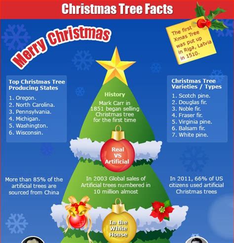 top 5 christmas tree infographics
