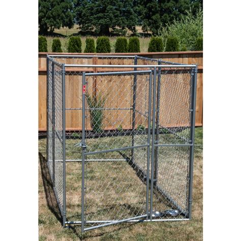 Covered Chain Link Dog Kennel The Many Uses Of Chain Link Dog Kennels