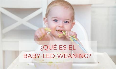 Qué beneficios aporta el método BLW o Baby Led Weaning SEFHOR