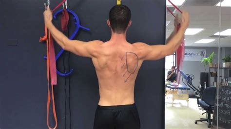 Scapular Muscles Exercises