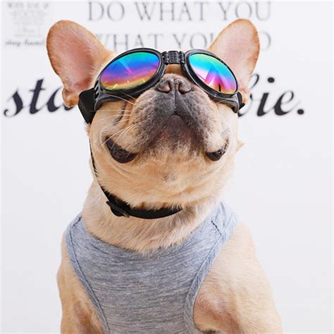 French Bulldog Sunglasses Protection Cute Best Dog Sunglasses