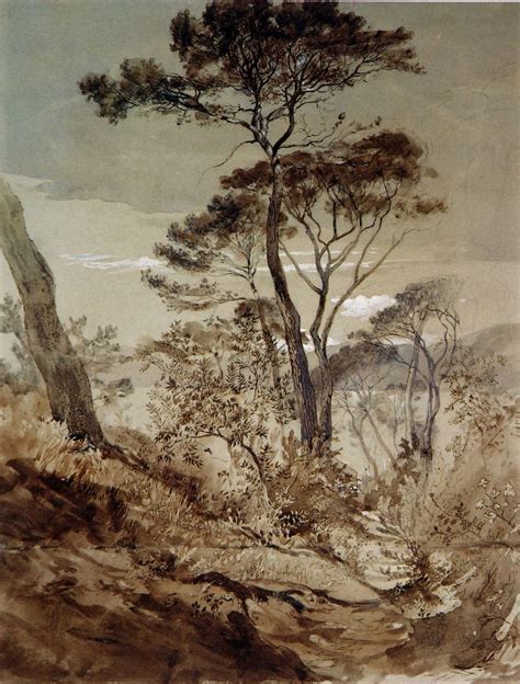 Stone Pines At Sestri John Ruskin 1845 Landscape Drawings Landscape
