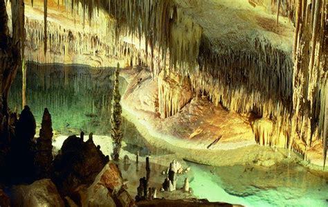 Panthera onca mesembrina (patagonian panther). Coves del Drach are four connected, great caves that are ...