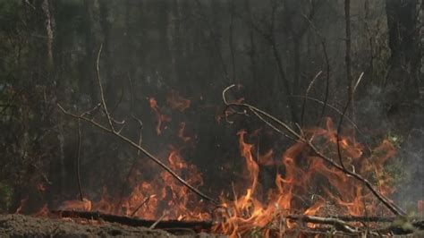 Spring Wildfire Season Heating Up In Coastal Empire