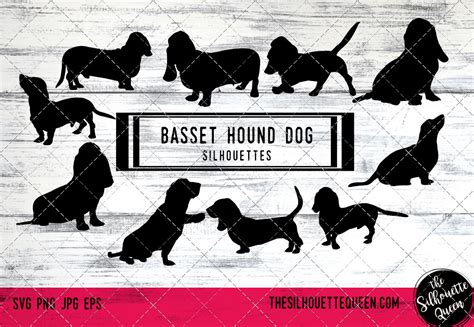 Basset Hound Dog Silhouette Vectors By The Silhouette Queen Thehungryjpeg