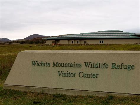Raven And Chickadee Wichita Mountains Wildlife Refuge