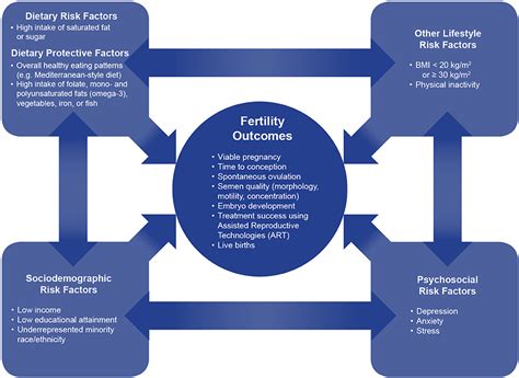 Frontiers The Influence Of Diet On Fertility And The Implications For