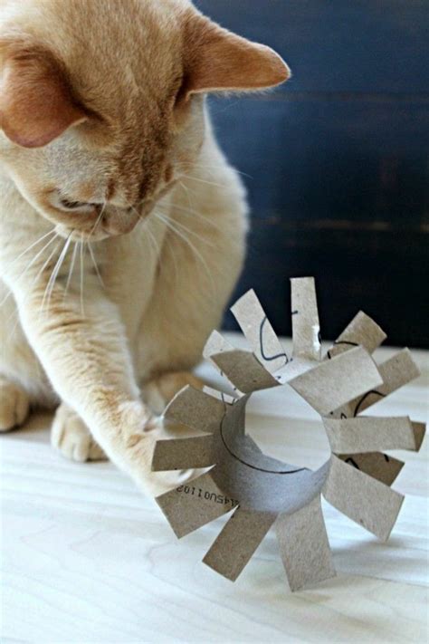 katzenspielzeug selber machen fantastische ideen für katzenliebhaber katzen spielzeug