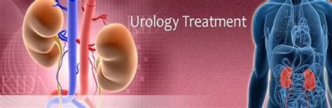 Best Urologist In Delhi 5 Signs That You Should See A Urologist
