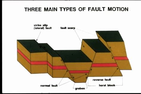Types Of Faults Worksheet