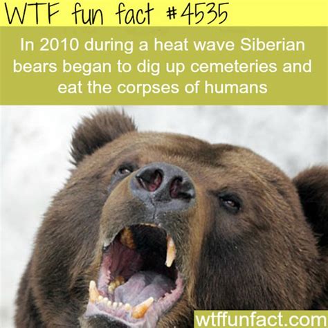25 Fun Facts That Will Make You Say WTF (25 pics)