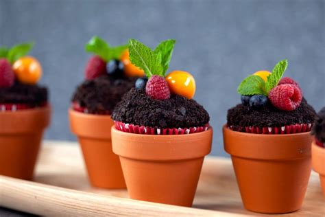 Gusto Tv Flower Pot Cupcakes