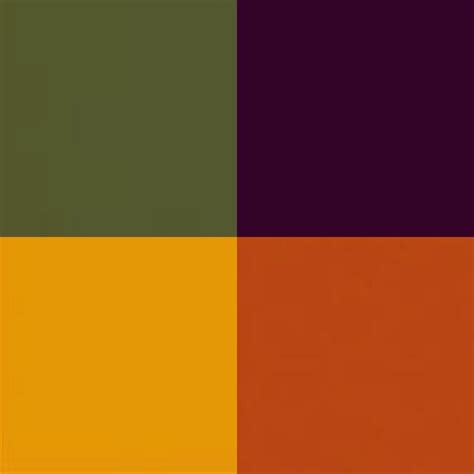orange color schemes orange palette orange color palettes green colour palette burnt orange