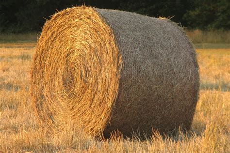 Hay Bails Free Photo Download Freeimages