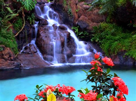 Free Download Waterfall Live Wallpaper Free Download 1920x1080 For
