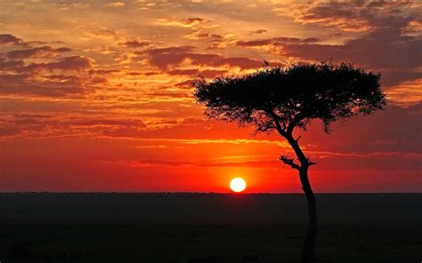 African Sunset Wallpapers - Top Free African Sunset Backgrounds ...