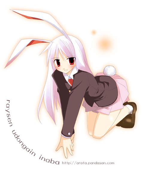 Cute Anime Bunny Girls Do You Like Bunny Anime Girls