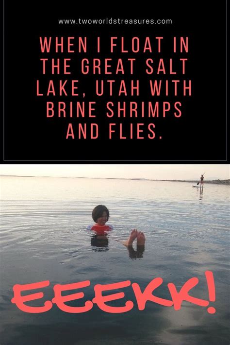 When I Float In The Great Salt Lake Utah With Brine Shrimps And Flies