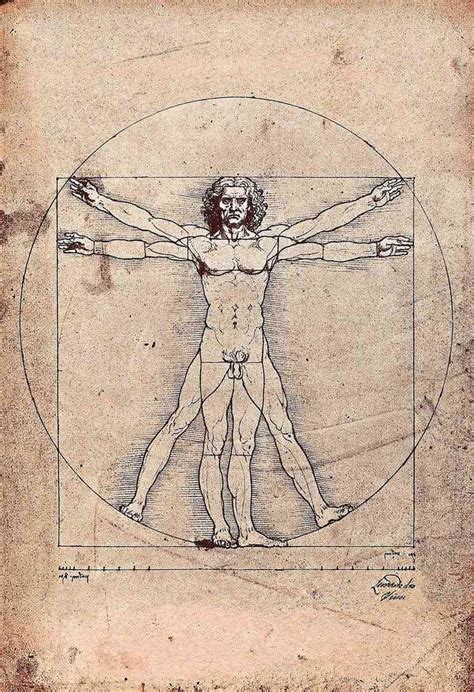 Leonardo Da Vinci God And Man