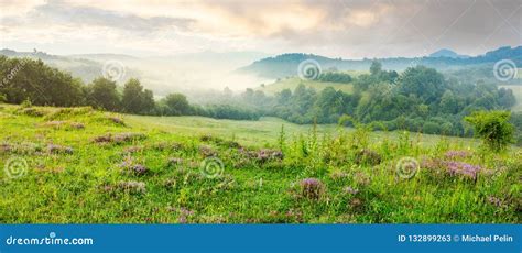 Panorama Of Beautiful Foggy Morning In Mountains Stock Image Image Of