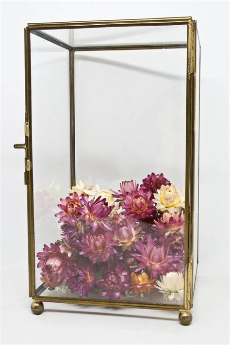 Brass Glass Display Rectangle Cube Vtg Glass Curio Cabinet Etsy Glass Display Box Glass