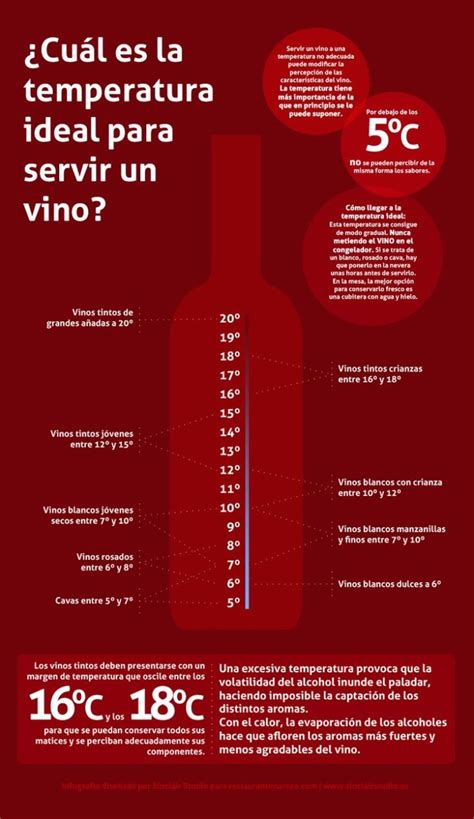 10 Infografías Sobre El Vino Que Te Van A Interesar The Big Wine Theory