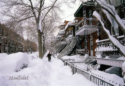 Montreal in winter | Montreal in winter, Winter scenery, Winter travel