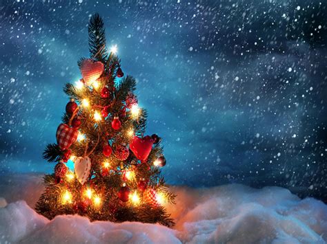 Free Download Christmas Tree Hd Wallpapers For Ipad Tips