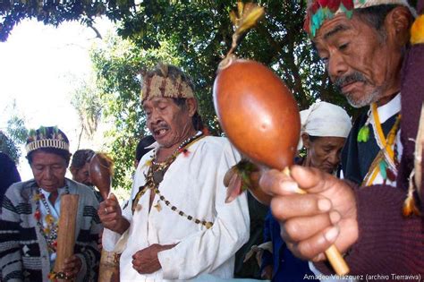 Crónicas De La Tierra Sin Mal Jeroky ñemboe Ceremonia Avá Guaraní