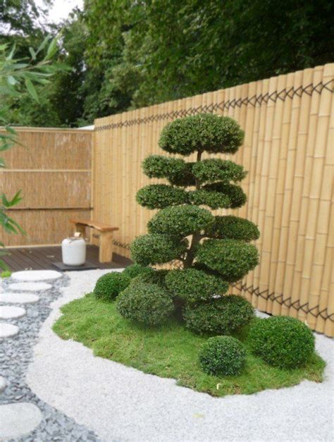 Topiary Trees For Sale Ideas On Foter In 2021 Topiary Plants