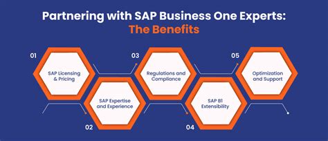 Sap Business One Partner Consider These Points To Get The Best