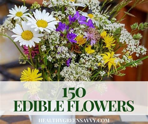 First things first, before we go into specific examples with names and recipe ideas please make sure that the plant you're picking is the correct one. Flowers You Can Eat ~ 150 Edible Flowers to Try This Season