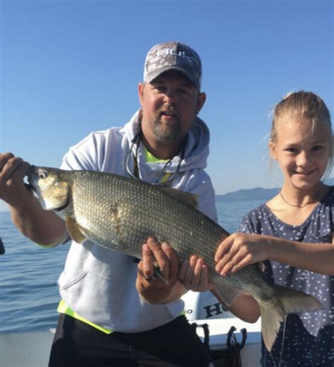 The Flathead Lake Whitefish Bite Is On Montana Hunting And Fishing