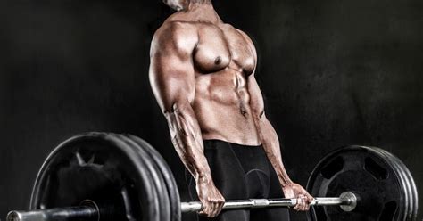 Muscle Palace The 10 Rules Of Building Muscle Mass