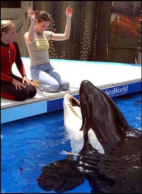 WEB FIRST: Whale kills SeaWorld trainer as guests watch