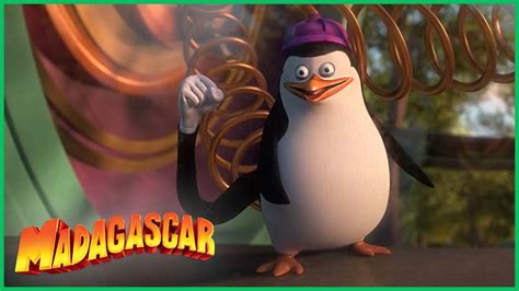 DreamWorks Madagascar em Português Os melhores momentos de Private