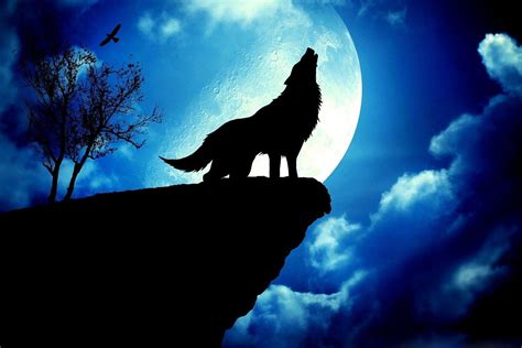 Wolf Wallpaper Moon Wolf Howling At The Moon Wallpapers Wallpaper Cave