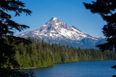 Mount Hood From Lost Lake In Oregon Stock Photo Image Of Cascade