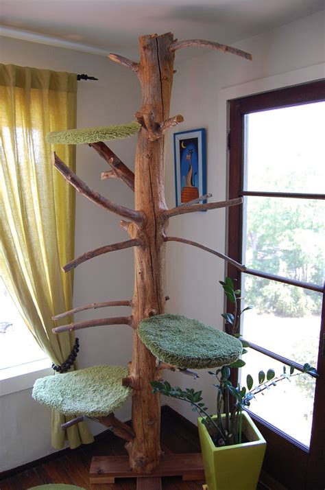 Or, for that matter, how about some live edge tree decor, which can also serve as a cat tree? Cats Love Trees One-of-a-kind cat trees. Hand-crafted, all ...