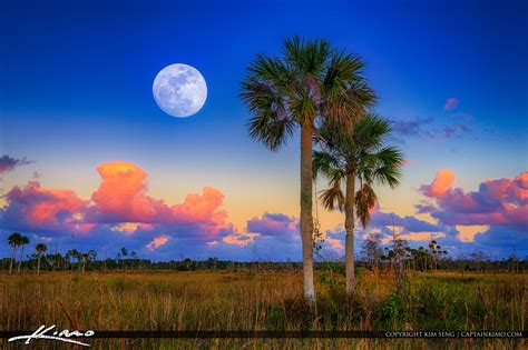 moon rise pine glades natural area jupiter florida purple sky hdr photography by captain kimo