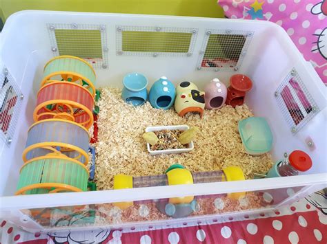 Hamster Bin Cages By Philippine Hamster Keepers