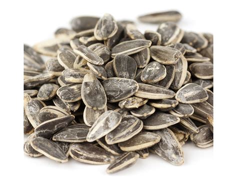 Roasted And Salted Sunflower Seeds In The Shell 25lb Bulk Chs