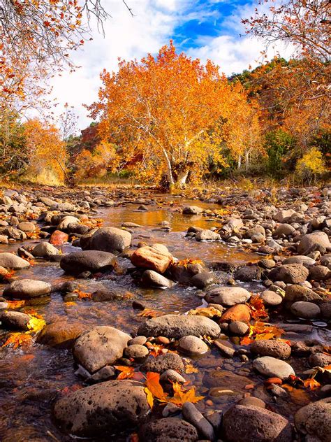 Fall Colors Dry Beaver Creek Sedona Arizona Tandk Images Fine Art