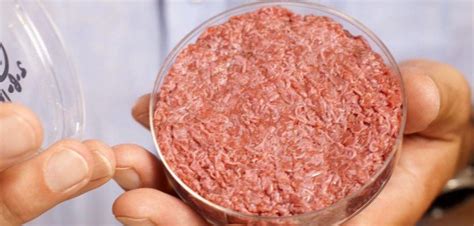 Lab Grown Meat To Feed Growing Global Population