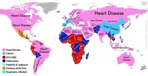 Read the full article on the future of cryptocurrencies. The Most Common Causes Of Death Around The World (6 pics)