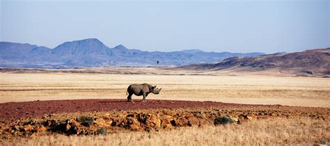 Destination namibia, a nations online country profile of the african nation in the southwestern part of the continent. Namibia Panorama - Travel News Namibia