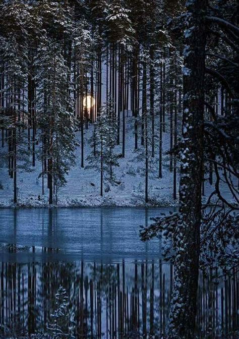 Full Moon Rising In A Wintry Forest Winter Scenery Winter Scenes