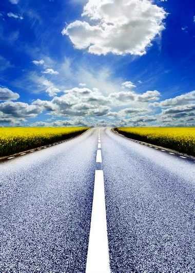 Sad, hunting, black and white, puppy in the field, firm look, muzzle, mouth, hairy, canine, dog breed, hunting dog, domestic, best. beyond-the-event-horizon - Devpolicy Blog from the ...